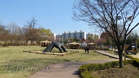  Yongsan Family Park: Ikoninen ja hauska lomakohde Soulissa!