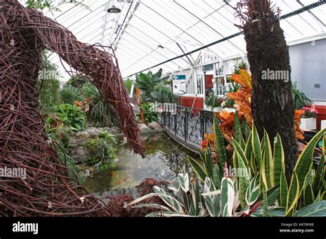  Queens Park Glasshouse: Kasvihuoneen ihmeelliset trooppiset sademetsät ja eksoottiset kukkivat kasvit!